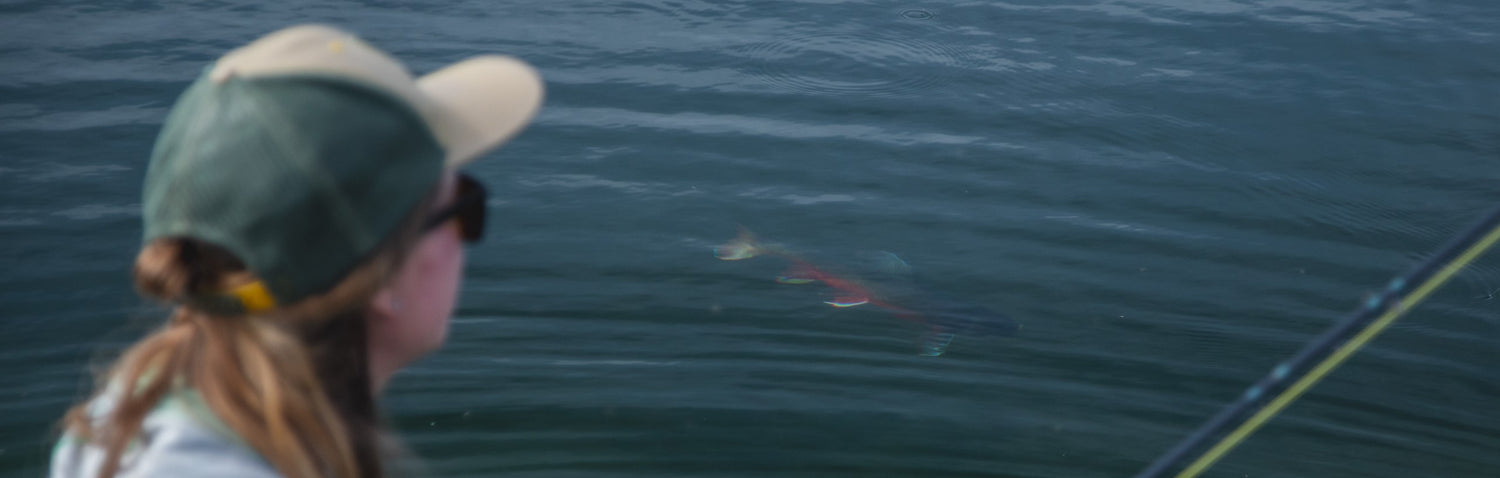 Vision Loops & Rings