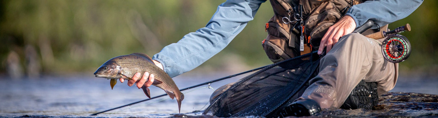 Vision Packs & Vests