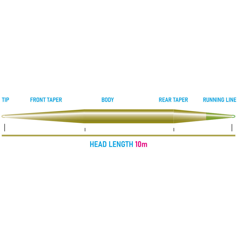 Seatrout Shooting Head