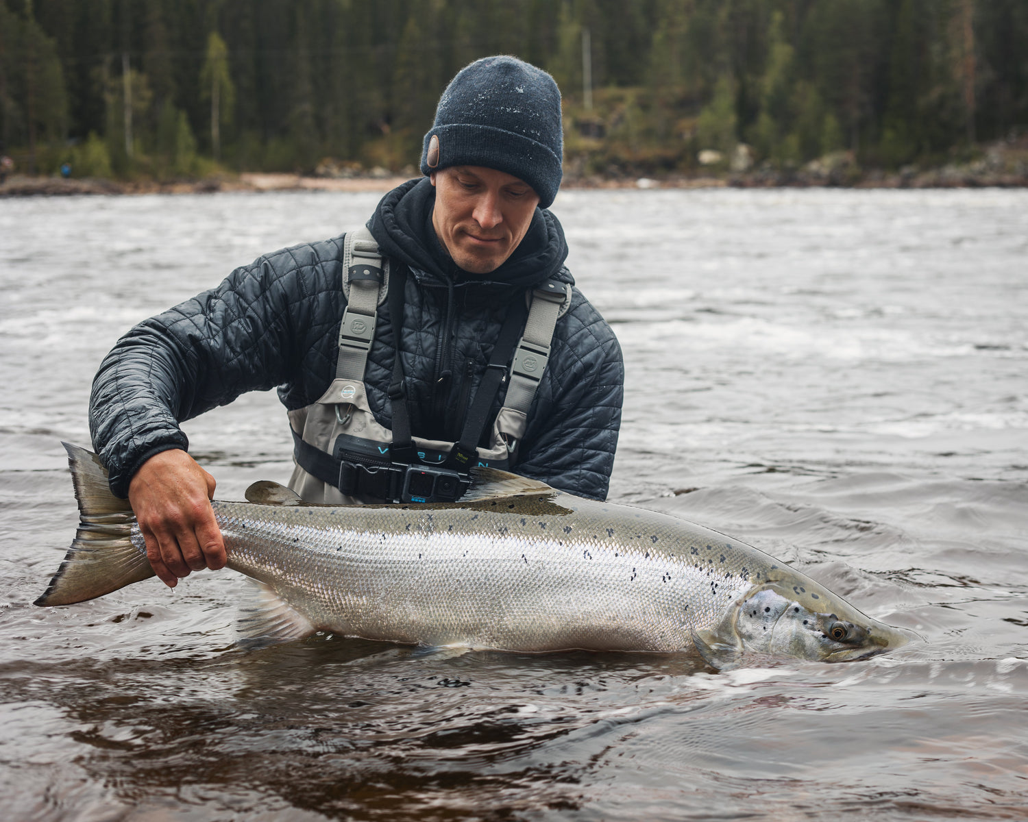 Hooked on Baltic Salmon
