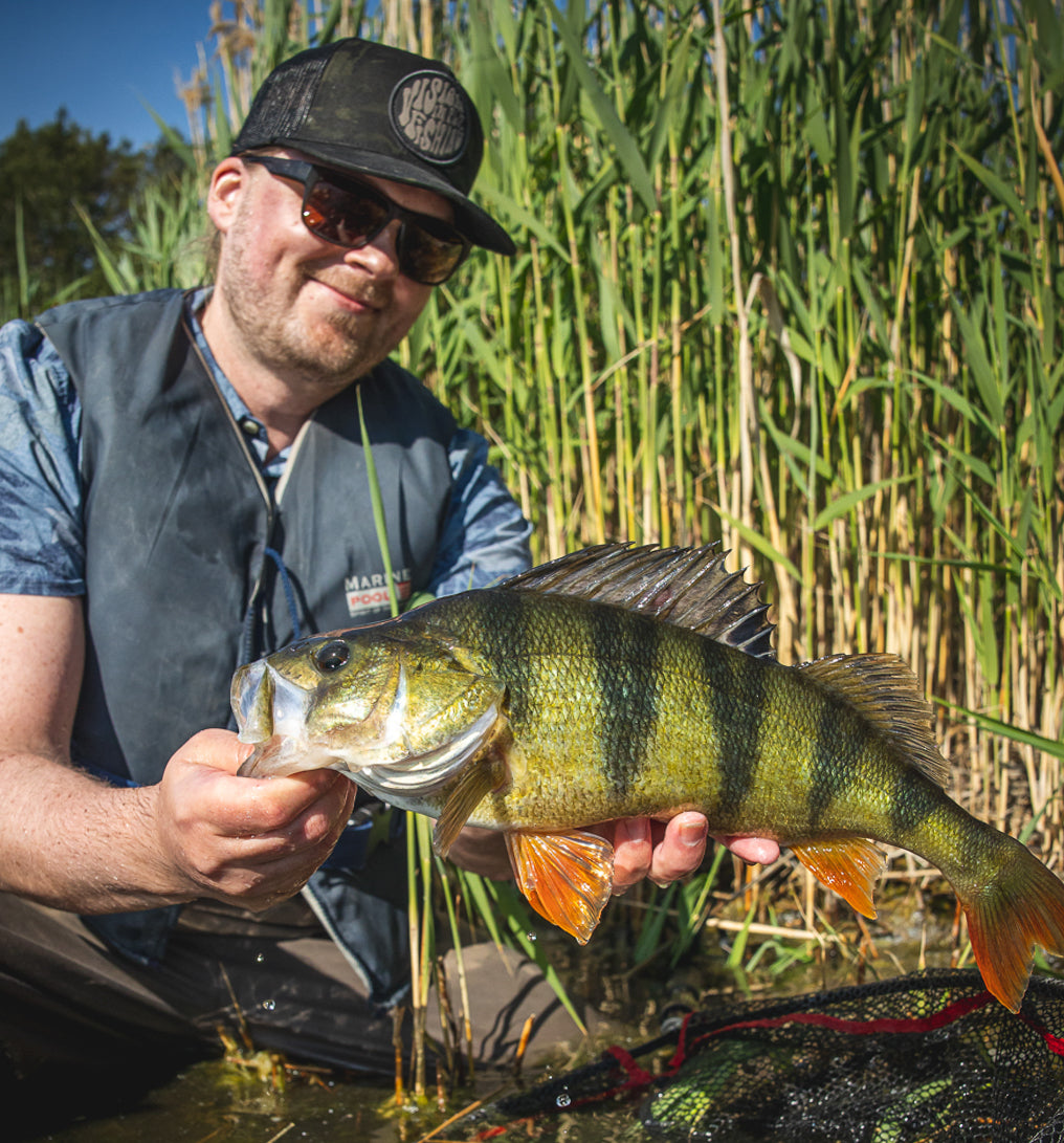 Easy to start – Hard to finish: Fly fishing the Mighty Perch