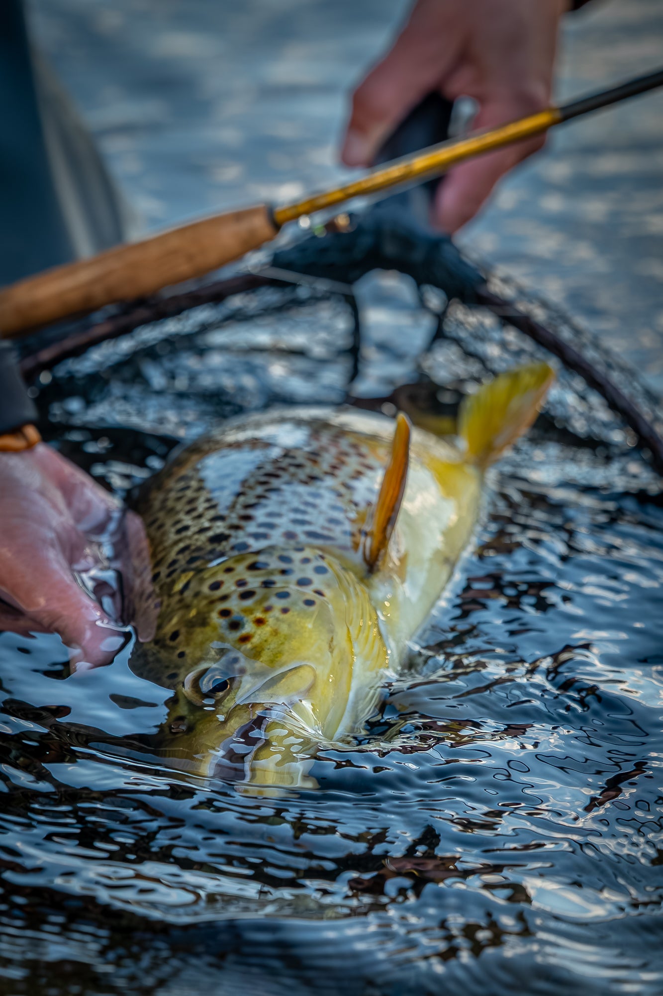 Nymphing Hero² Fly Rod – Vision Fly Fishing