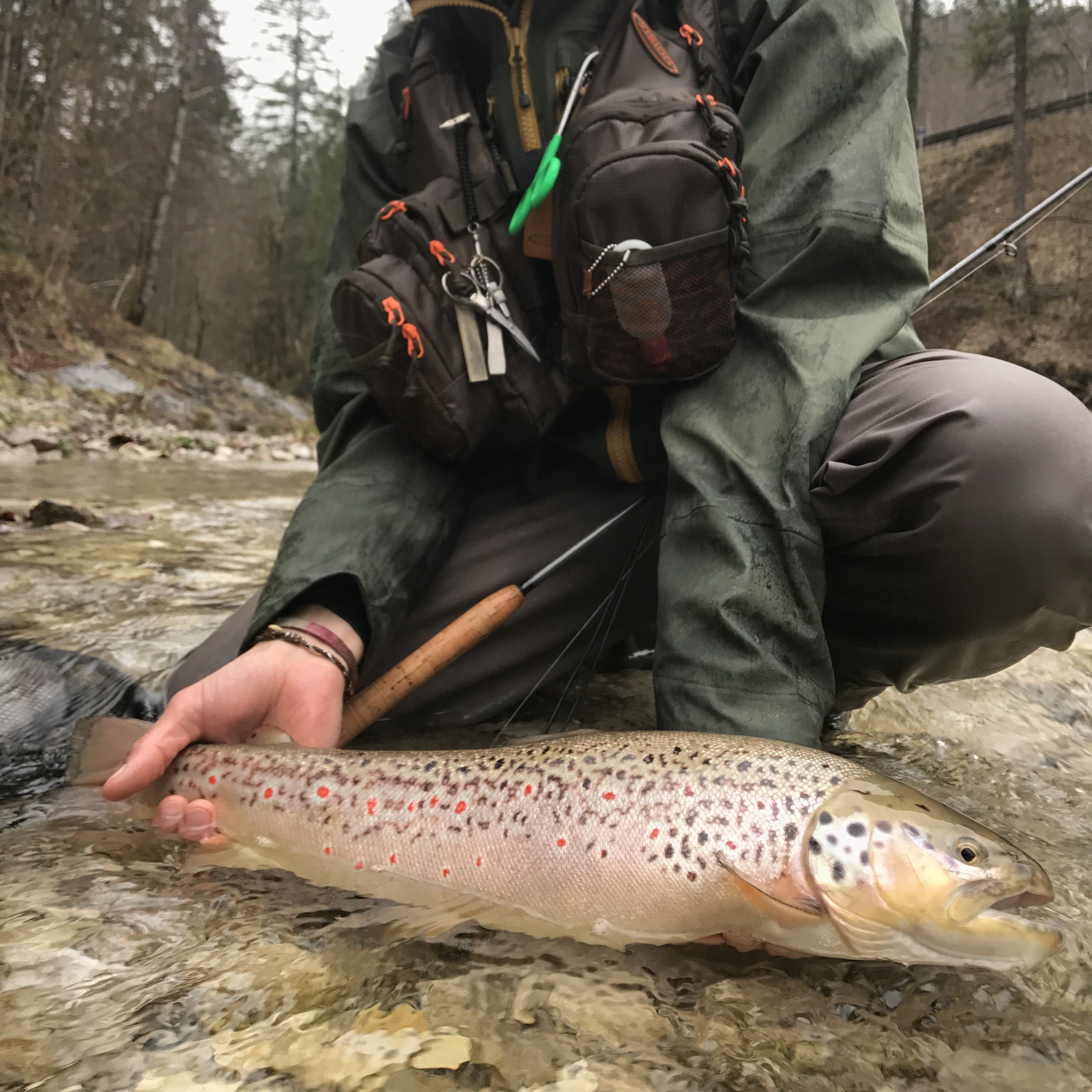 Nymphmaniac Fly Line – Vision Fly Fishing