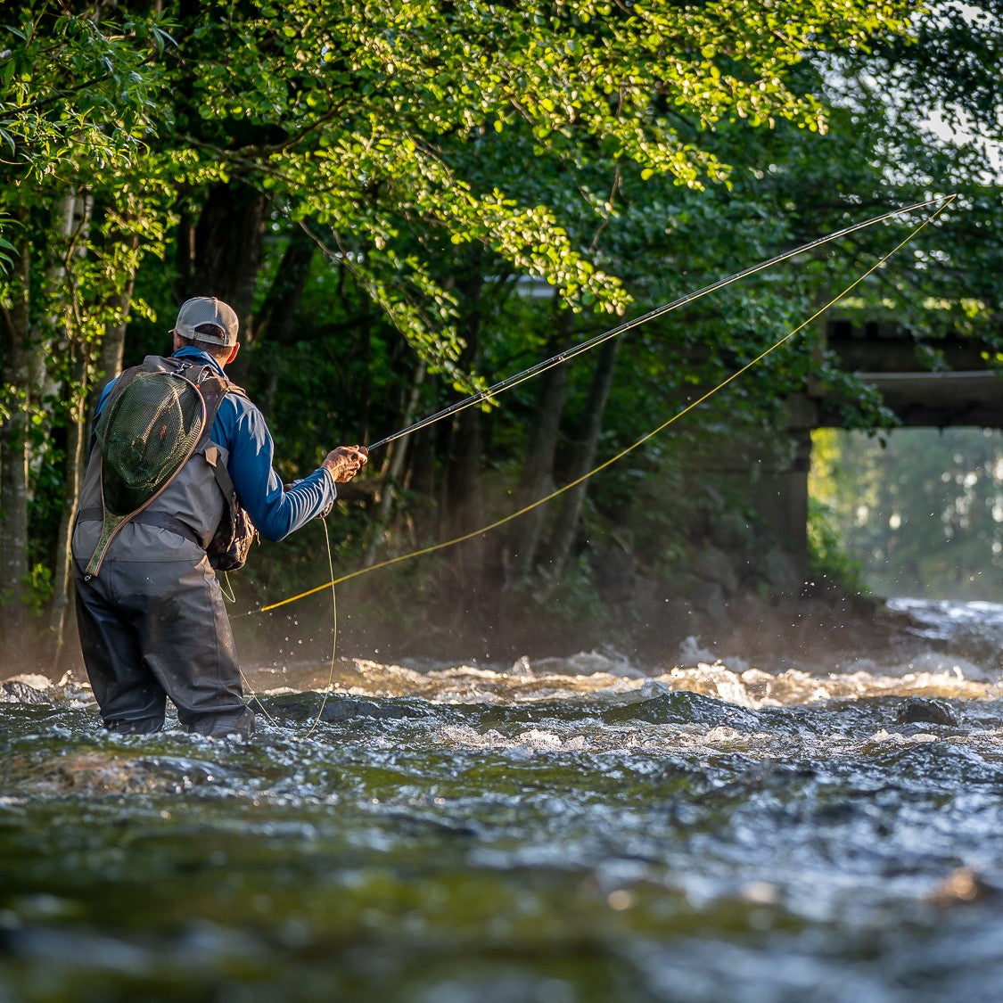 NATIVE　A FLY FISHER'S VIEW Fly Fisherman's Gold The Fly Fisher & the Trout's Point of